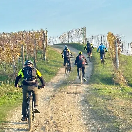 Appartement La Capinera Sabry's *